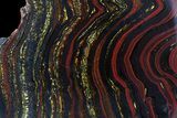 Polished Tiger Iron Stromatolite - ( Billion Years) #69775-1